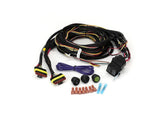 Two-Lamp Wiring Kit (6-Pin, Superseal, 12V)