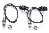 Dual Channel CAN O2 Wideband Controller Kit