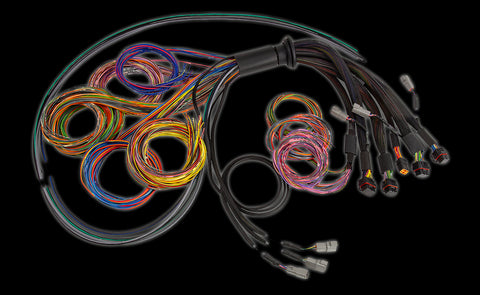 Haltech Nexus R5 Universal Wire-In Harnesses