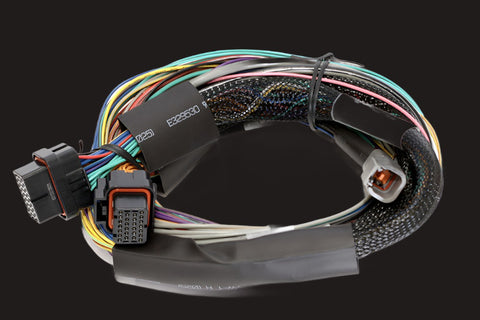 Elite 1500/2500/2500T Basic Universal Harness