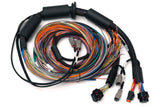 Nexus R3 Universal Wire-in Harness - 2.5m (8')